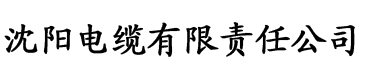 两界小贩电缆厂logo